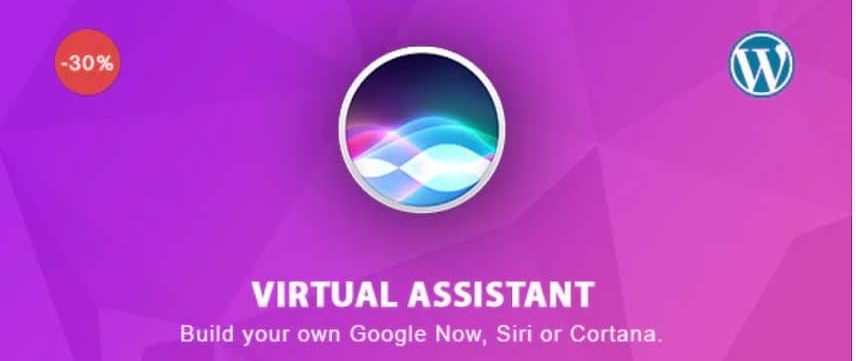 Virutal Assistant homepage