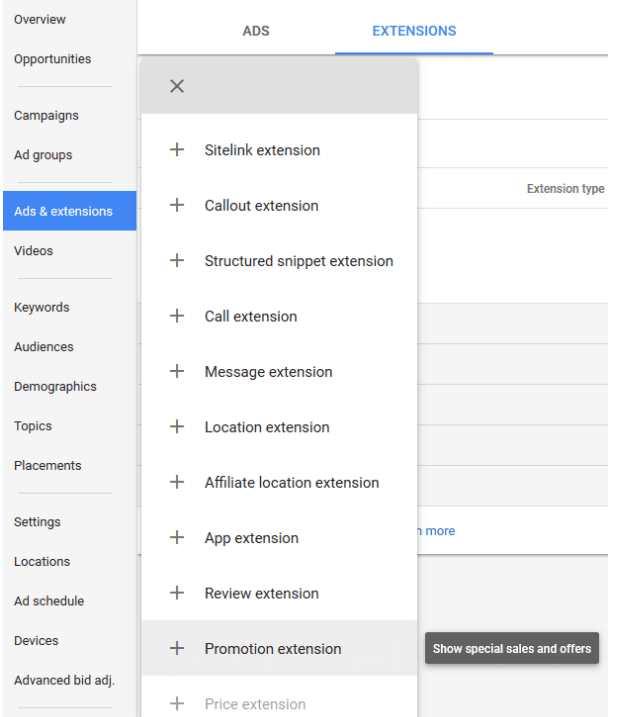Google Ads promotional extensions 