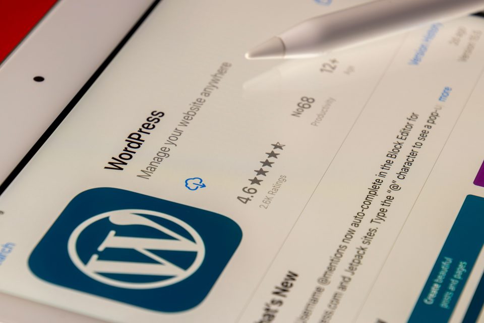 Create Your Minecraft Empire Online: Why Perfect Ally Is WordPress?