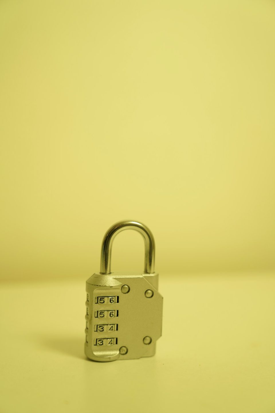 Can Okta alternatives support role-based access control?