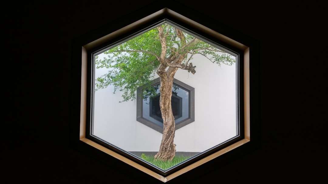 brown tree on brown field photo api design, software architecture, developer collaboration