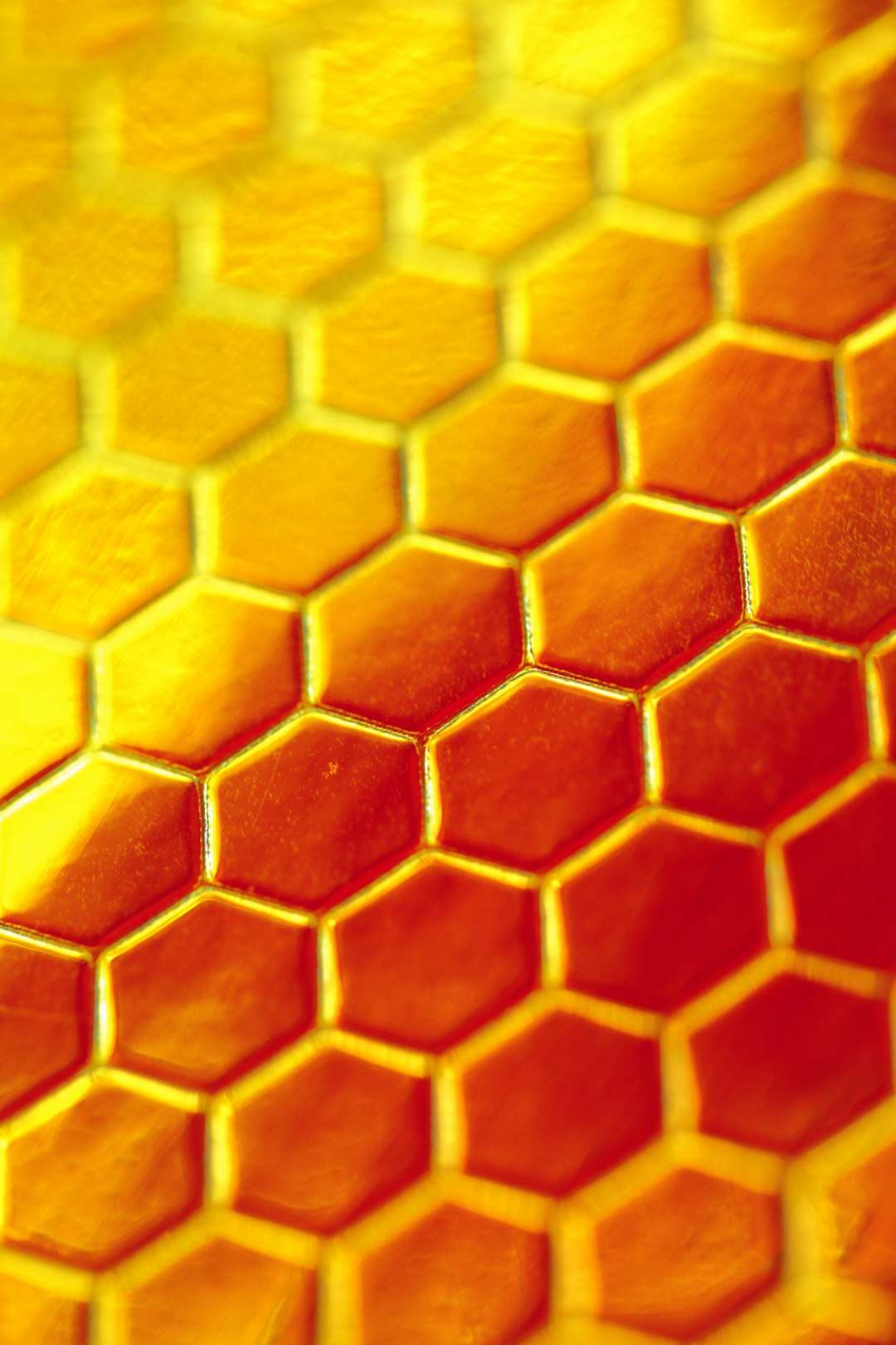 yellow and brown floor tiles api design, software architecture, developer collaboration