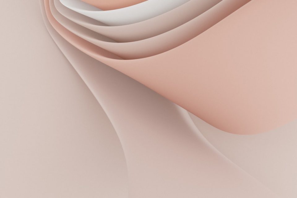 External Anatomy Labeling Guide