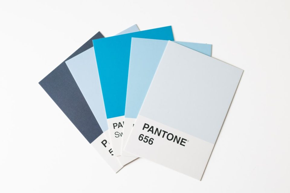A pantone color swatch with a white background brand identity package, logo variations, color palette
