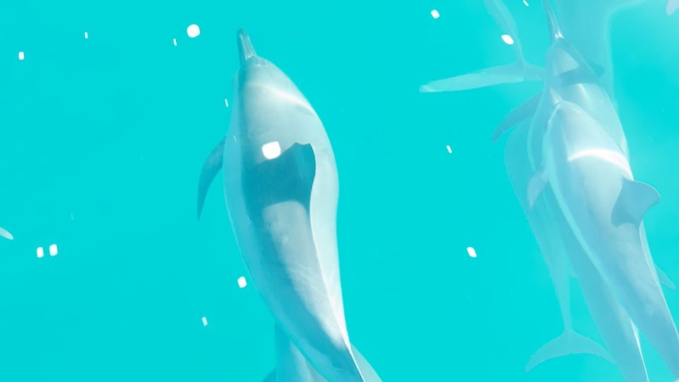 Server Unreachable ICE Failed in Minecraft: 7 Fixes to Restore Multiplayer Access