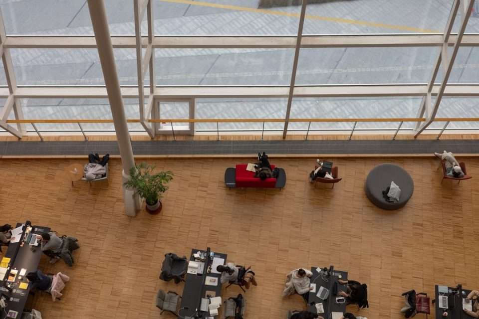 Software Options Companies Explore Instead of NocoDB for Smart Database Management